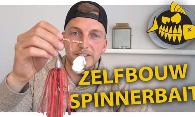 Zelfs spinnerbaits bouwen – Bas Westerveld