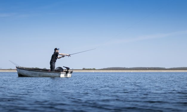 Exclusieve Salmo hengels – Speciaal voor o.a. Slider, Hornet, Sweeper en Fatso