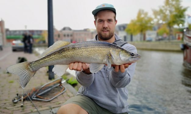 Streetfishing – 5 tips voor in de stad – Thomas Wending