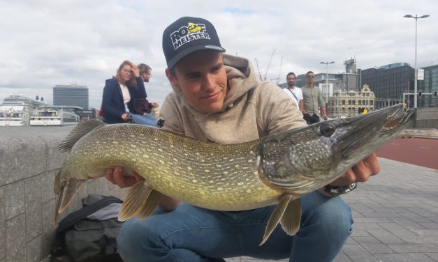 Tackle Meister Review – Fox Rage Zander Pro Shad UV
