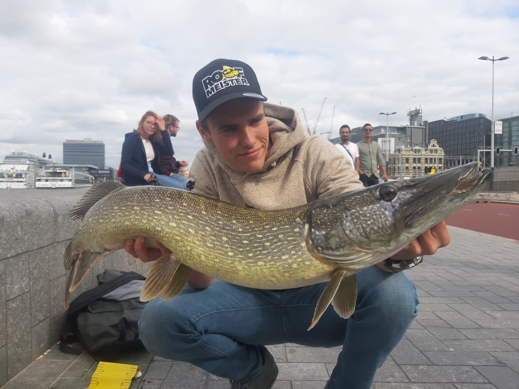 Tackle Meister Review – Fox Rage Zander Pro Shad UV