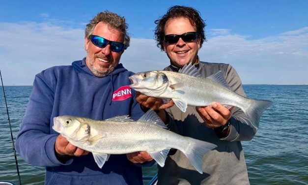Zeebaars gaat los – Vissen met aas en Berkley topwaters