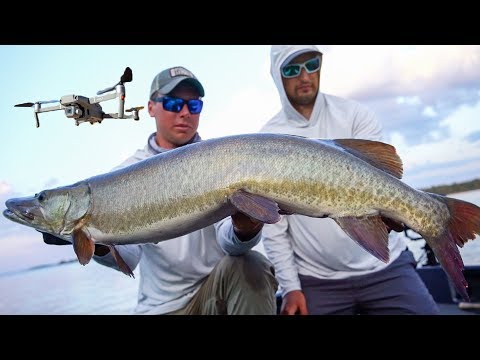 Musky aanbeet op drone