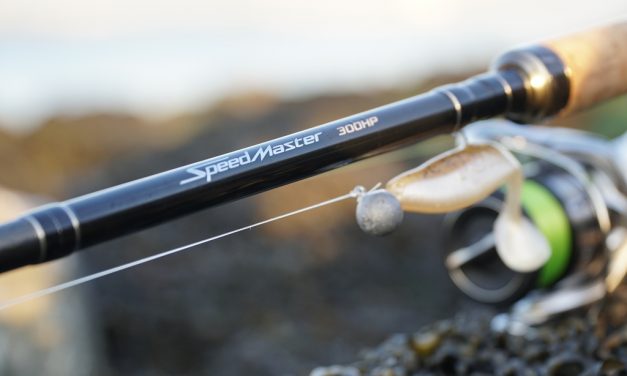 Shimano Stradic 3000 en Speedmaster 300 – Zeebaars speelgoed