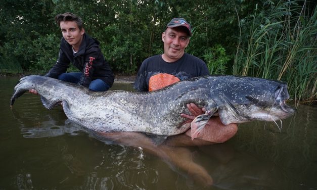 Monstermeerval in Enschede – Nieuw Nederlands record