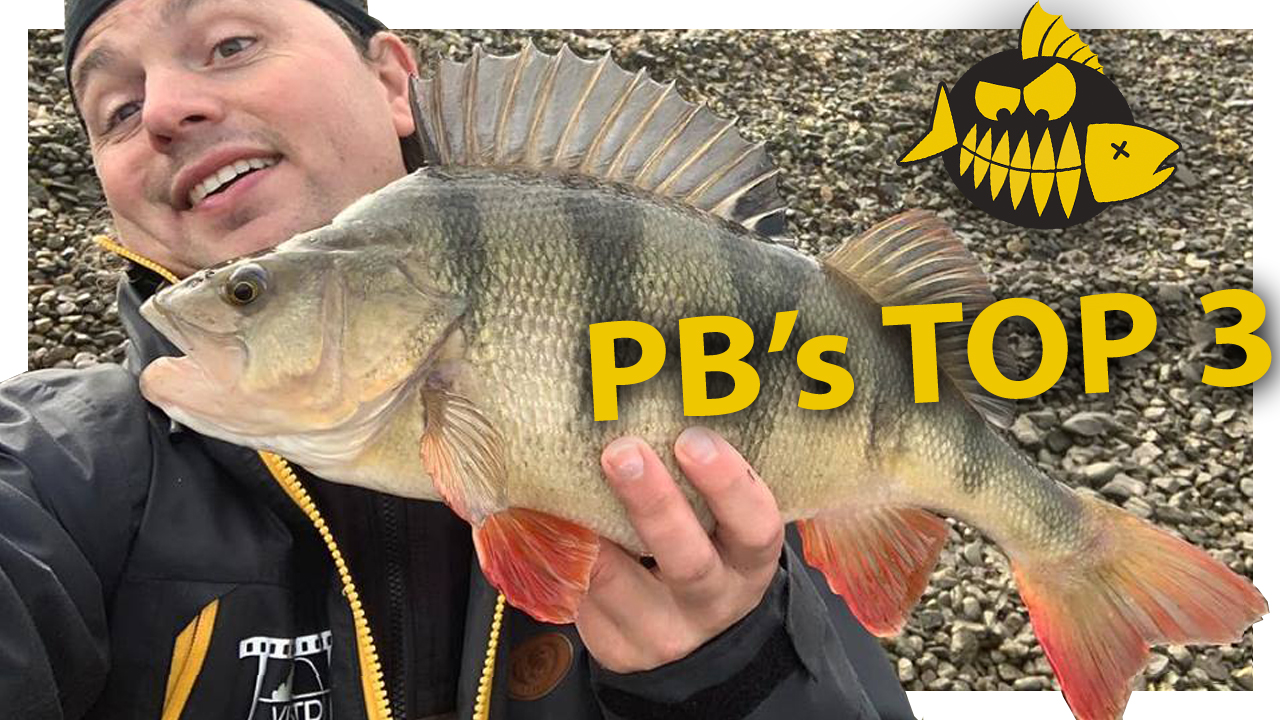De top 3+1 softbaits van Pieter-Bas Broeckx voor de Carolina rig