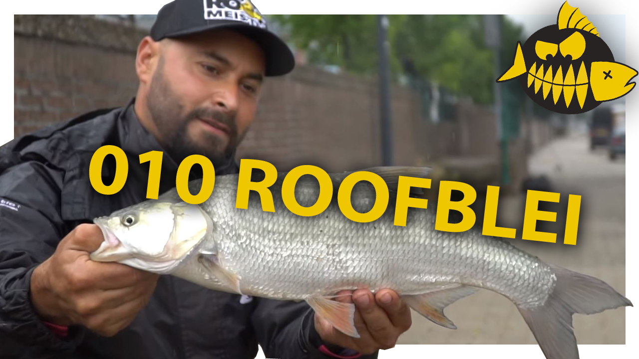 ***ROOFMEISTER VIDEO*** Roofblei in Rotjeknor met Mehmet Buyukyilmaz