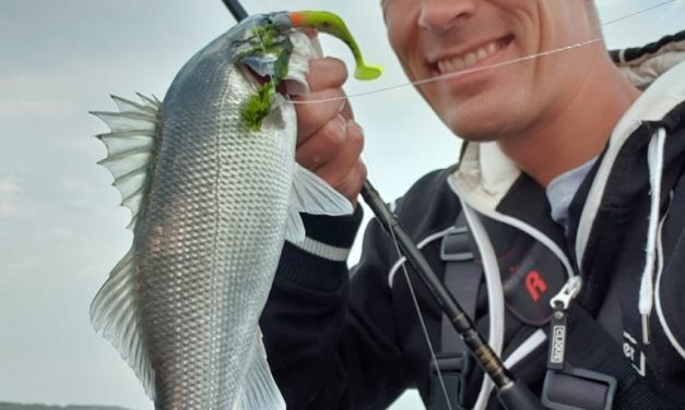 Tackle Meister Review – Hart Skin 5Z Evo