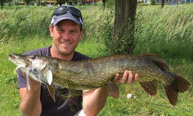 Ode aan de spinnerbait – De perfecte allrounder