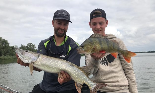 Op de rivier met roofvis topper Hendry Vis – Crankbaits only