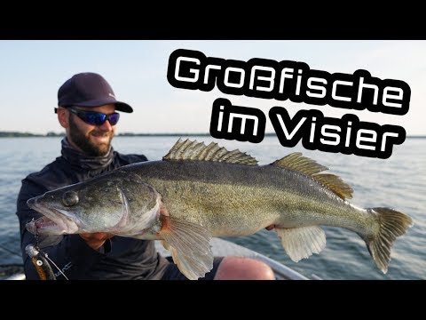 Mega snoekbaars op half water