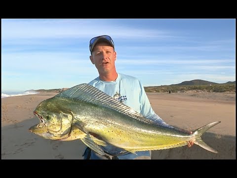 Mahi mahi vangen vanaf het strand