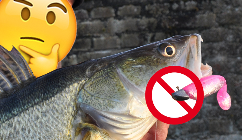 Vislood in de ban – is lood giftig?
