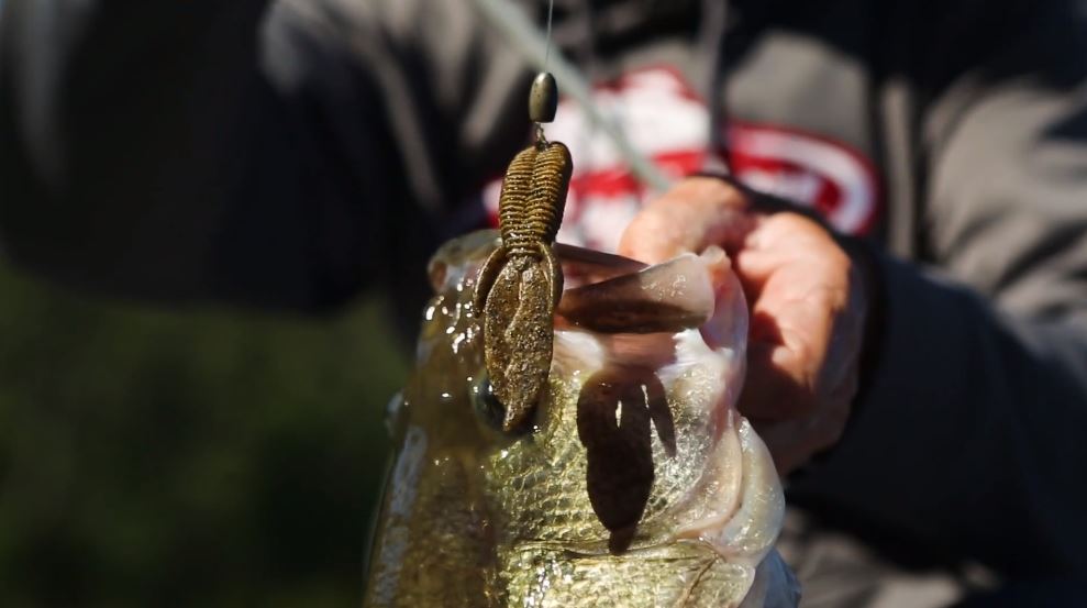 Regelrechte toppers voor de Carolina en Texas rig
