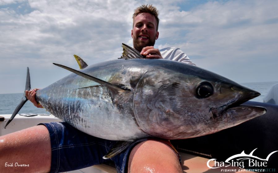 Vissen op Mahi mahi, tonijn en amberjack voor de kust van Spanje