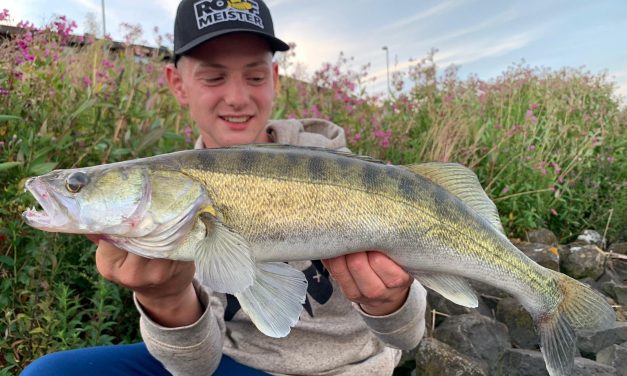 Kantvissen op rivier snoekbaars en baars – Op zoek naar de hotspots