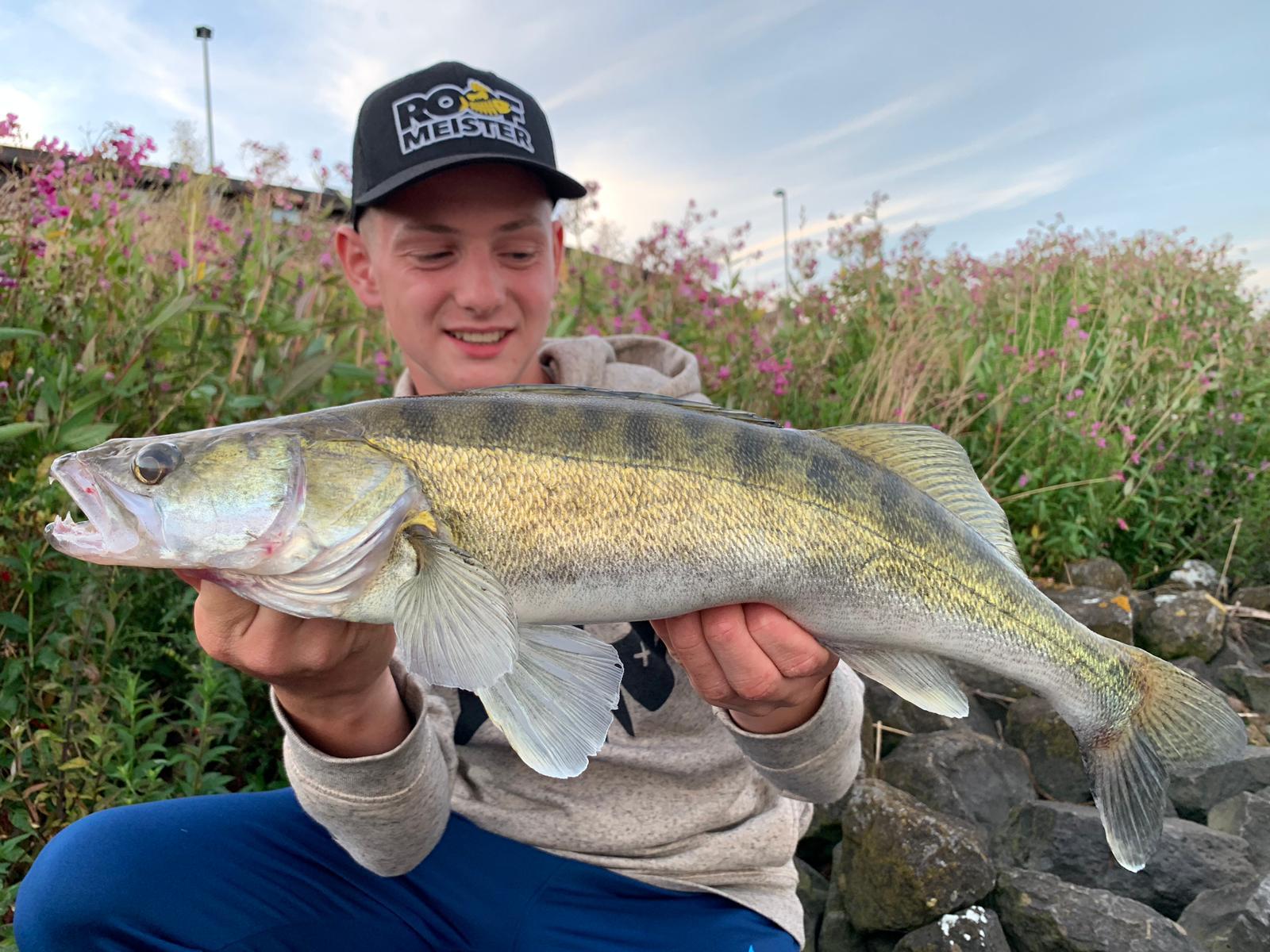Kantvissen op rivier snoekbaars en baars – Op zoek naar de hotspots