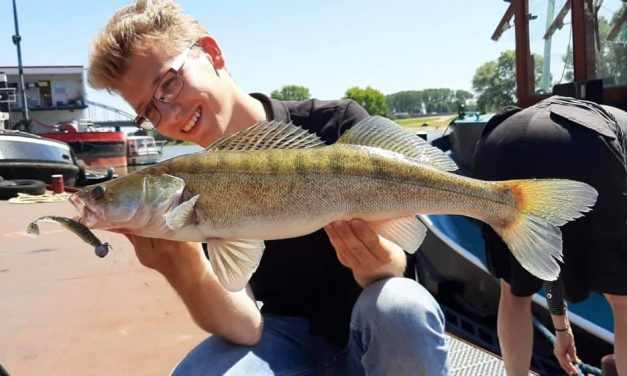 Tips voor snoekbaars vanaf de kant – Inclusief zieke aanbeet!!!