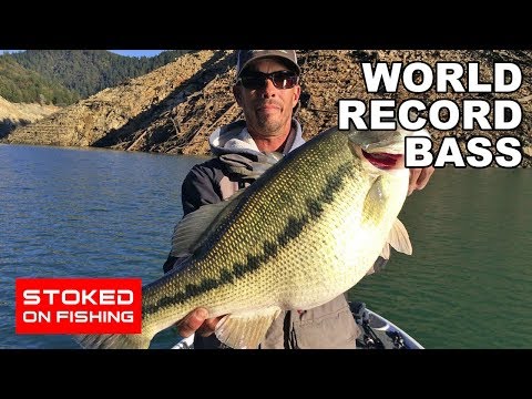 Wereldrecord black bass?