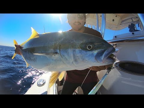 Ondertussen op de Noordzee – Speed jigging madness