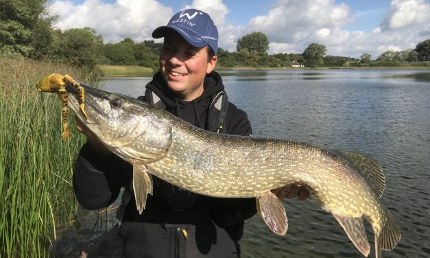 One Lure competitie in de oppervlakte –  Doe mee & win!