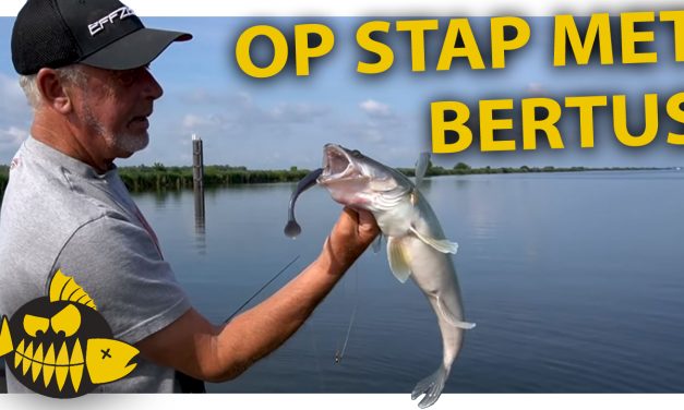 ***Roofmeister video*** Op stap met Bertus Rozemeijer