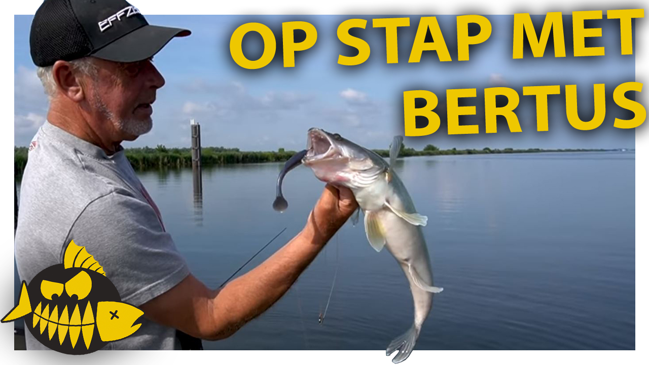 ***Roofmeister video*** Op stap met Bertus Rozemeijer