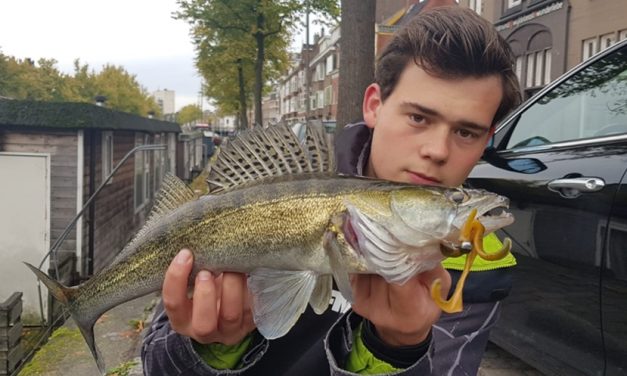 Tackle Meister Review – Deep Creek Lures – State of the art creature baits