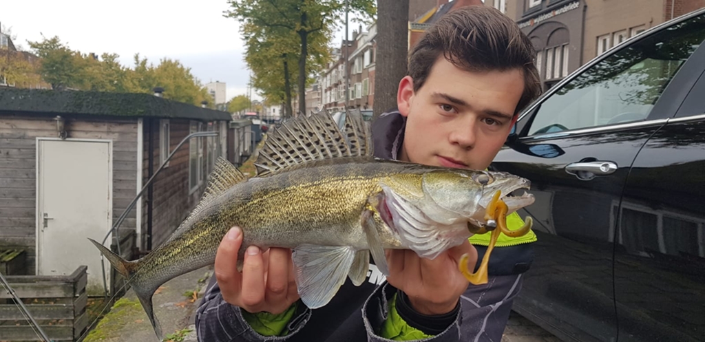Tackle Meister Review – Deep Creek Lures – State of the art creature baits