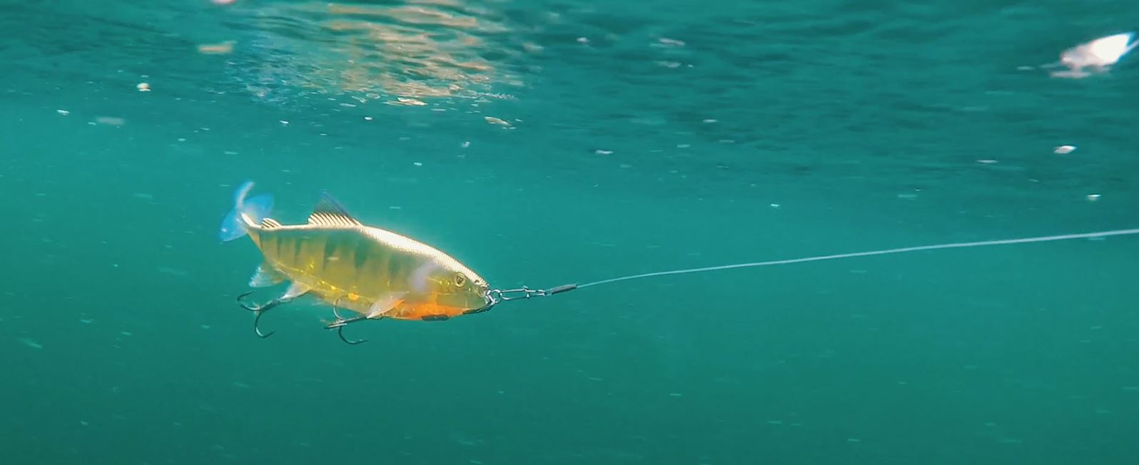 Levensechte forel- en snoekimitaties van Fox Rage