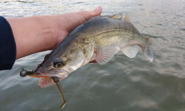 Tackle Meister Review – Narval Fishing Lures – From Russia with love