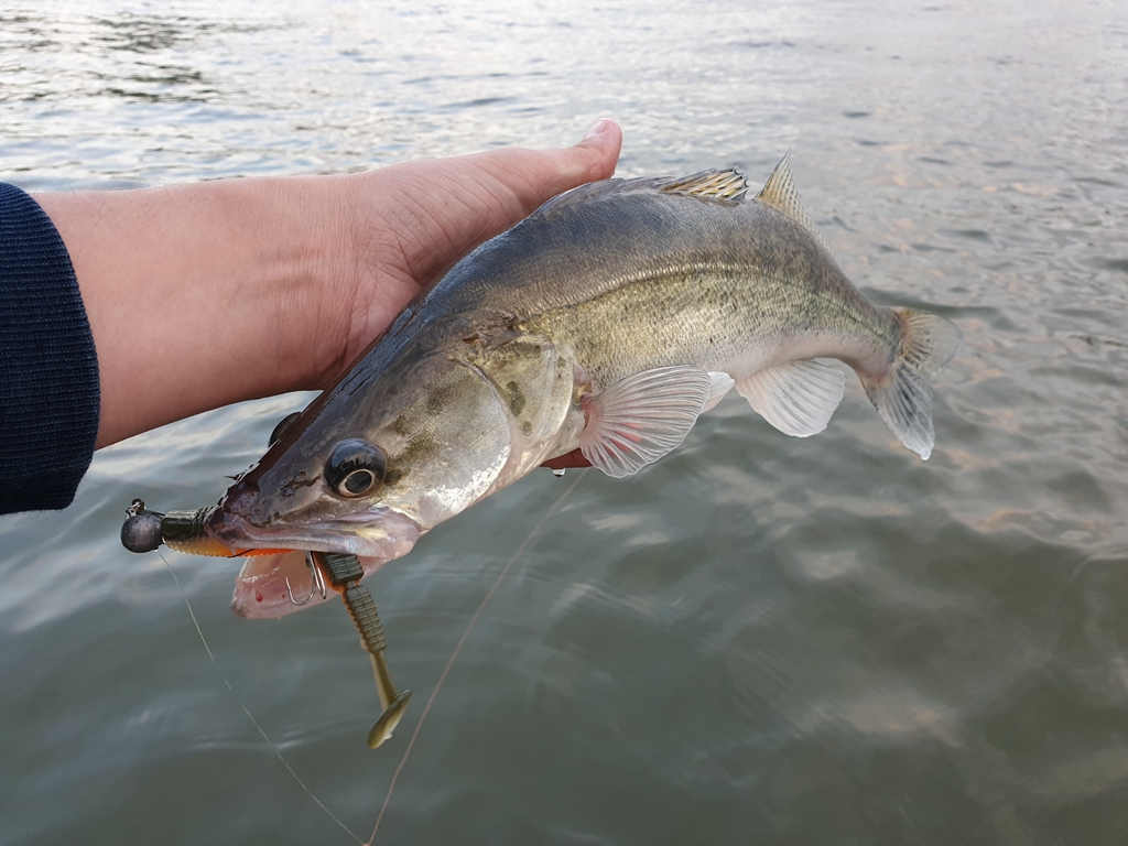 Tackle Meister Review – Narval Fishing Lures – From Russia with love
