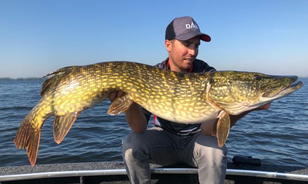 ROOFMEISTER TOP GEAR – Diepduikende strings en wegwerp fishfinders