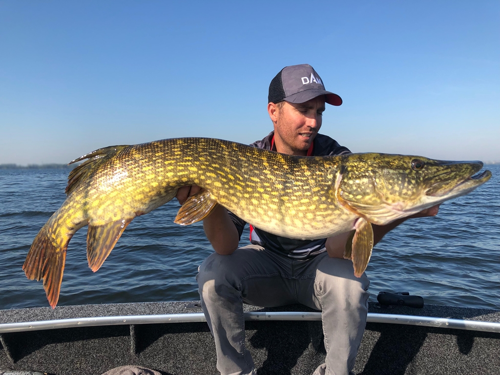ROOFMEISTER TOP GEAR – Diepduikende strings en wegwerp fishfinders