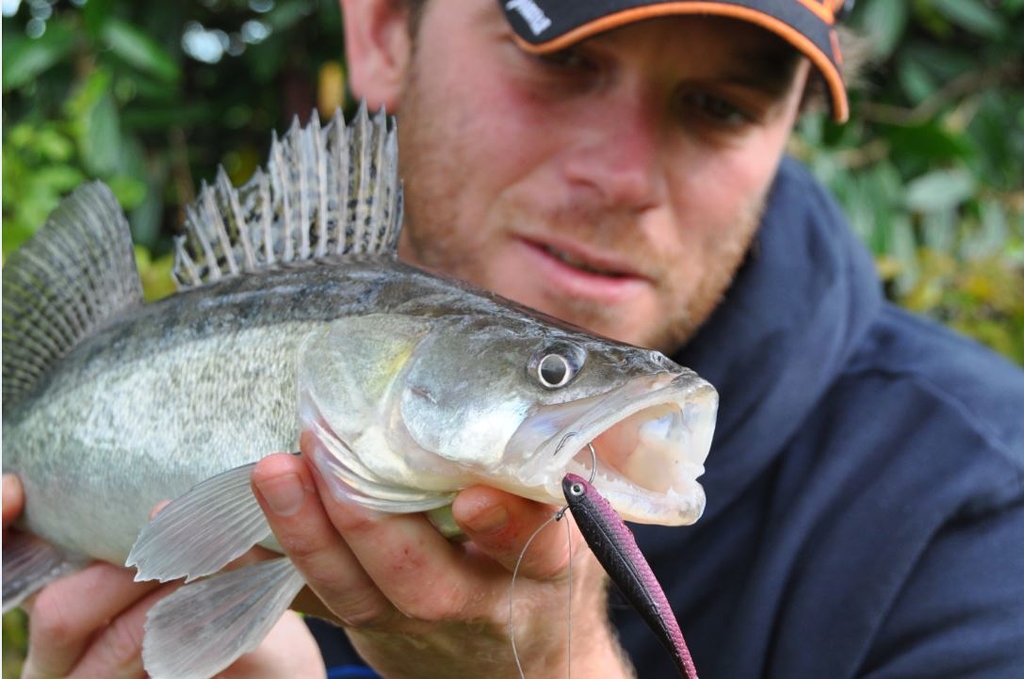 DROPSHOT – De killer rig – 5 redenen waarom je met de dropshot rig moet vissen