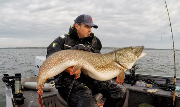 Nieuw Nederlands record snoek van 138 cm – Interview met de vanger