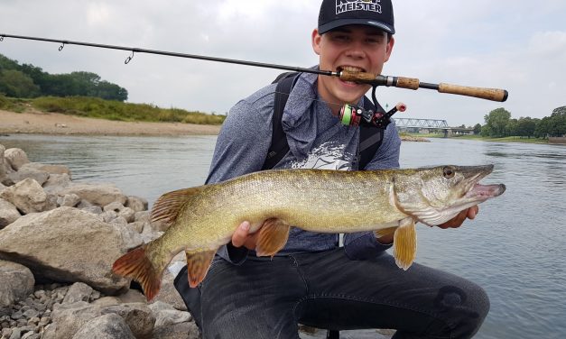 Tackle Meister Review – Abu Garcia Revo MGXtreme Spinning – De lat ligt nu sky high