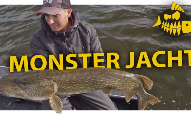 ***ROOFMEISTER VIDEO*** All-in op grote snoek in het najaar – Sean Wit