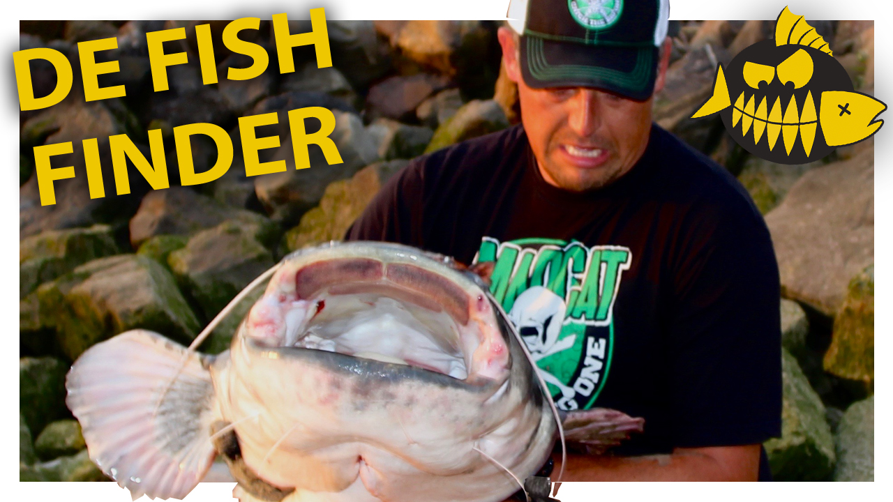 How to met meervalspecialist Roy Noom – De fishfinder