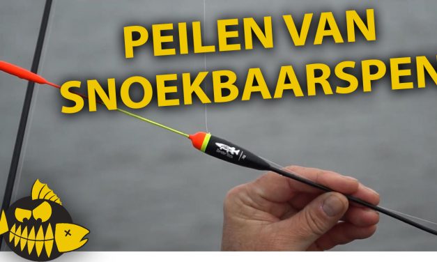 How to: Peilen van snoekbaarspen – Michael Stalenhoef