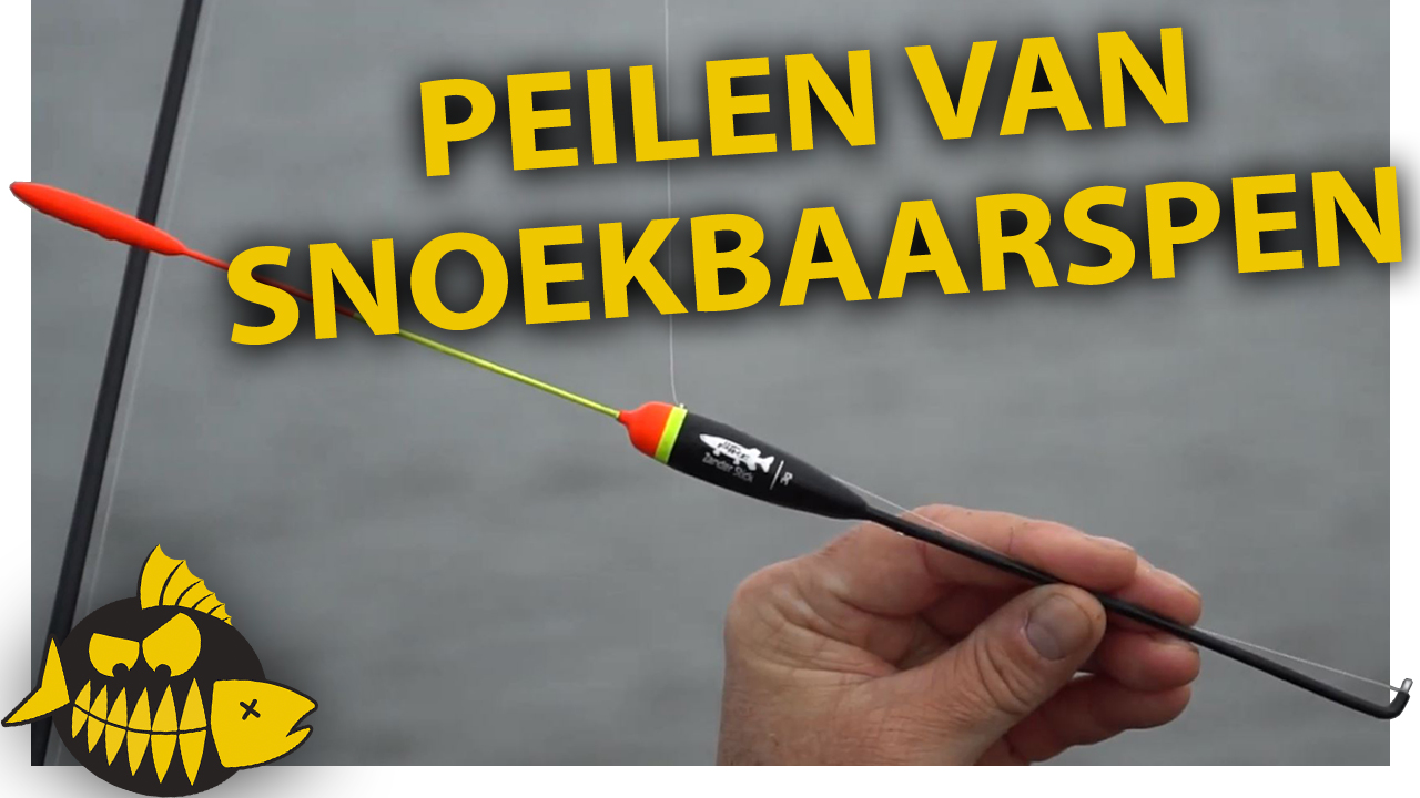 How to: Peilen van snoekbaarspen – Michael Stalenhoef