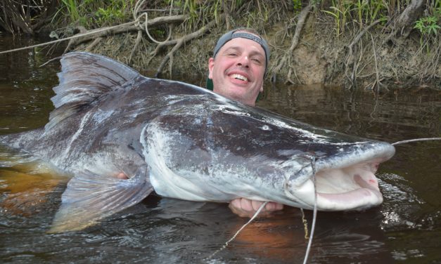 Waanzinnig visavontuur à la Jeremy Wade – Wie durft?