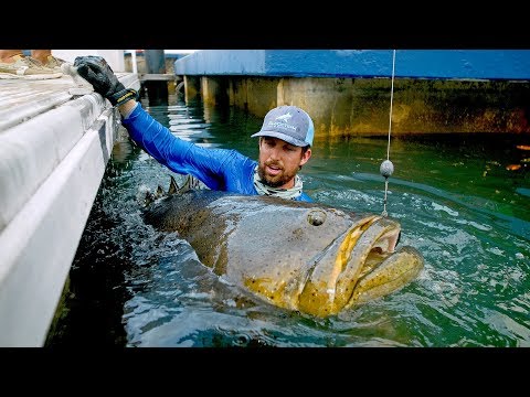 Grootste vis vanaf de kant ooit – Ruim 150 kilo