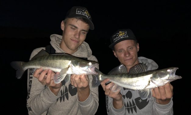 Tackle Meister Review – Narval Shads – Russische vangers
