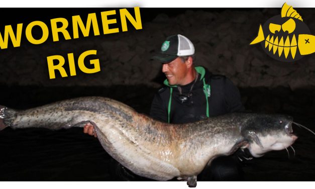 How to met meervalspecialist Roy Noom – De wormen rig