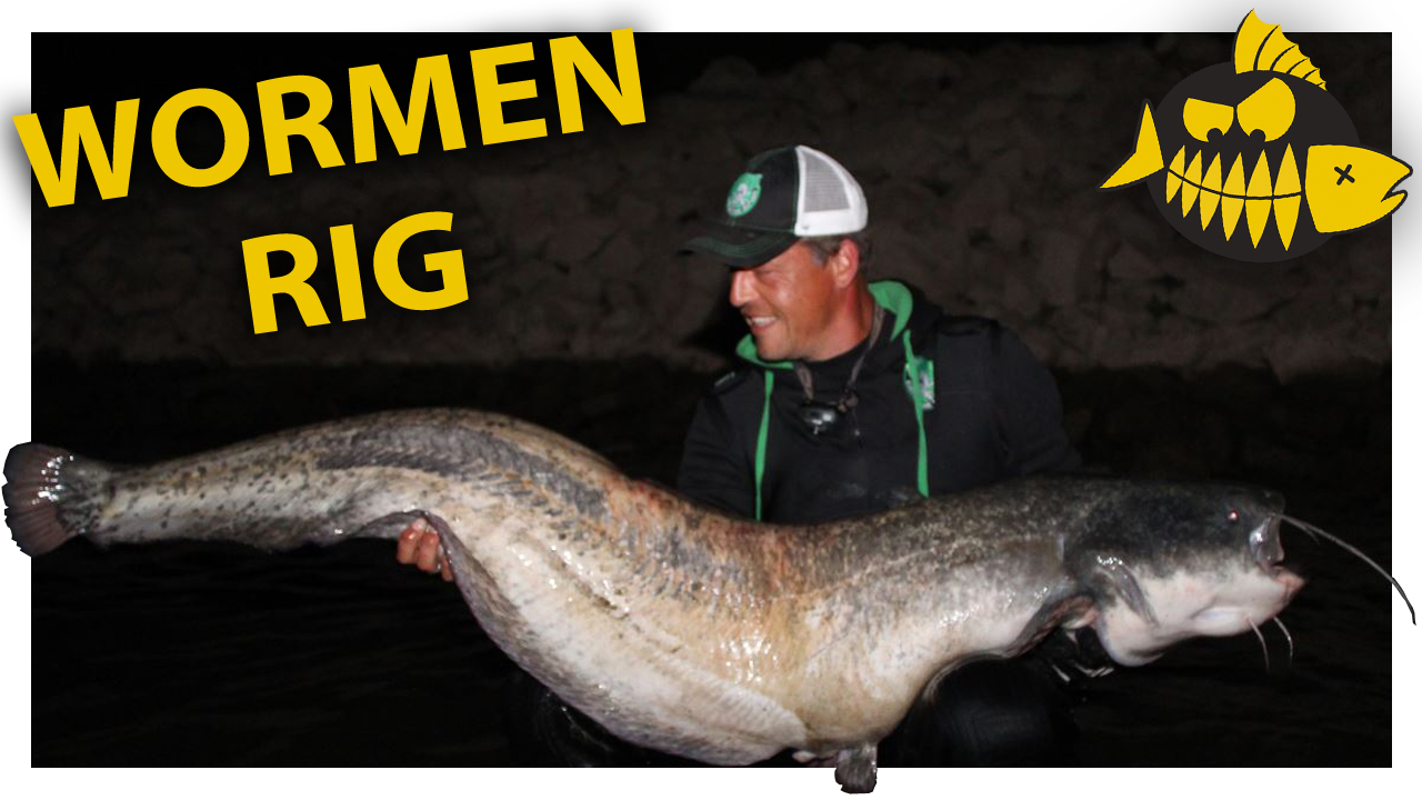 How to met meervalspecialist Roy Noom – De wormen rig