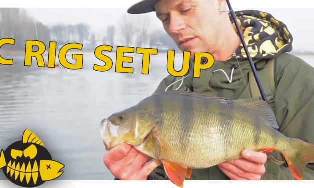 Carolina set up – Gericht op grote XXL baars
