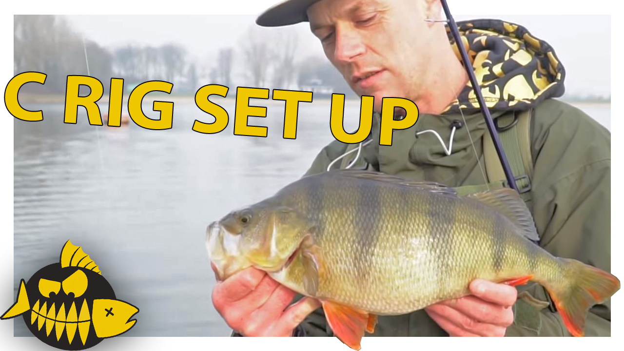 Carolina set up – Gericht op grote XXL baars