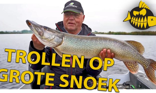 ***Roofmeister VIDEO*** Trollen met Jouke Jansma – De eerste metersnoek voor Roofmeister Steef