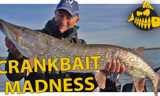 ***ROOFMEISTER VIDEO***Crankbait spektakel met Luc Coppens – Snoek van 116 cm op plugje